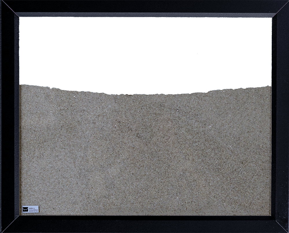 Black Painted Frame Ant Farm Wall Colony Ant Farms