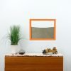 orange painted wood frame ant farm hanging on wall