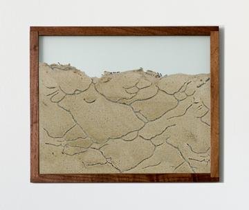 walnut natural wood frame ant farm landscape