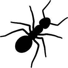black ant silhouette